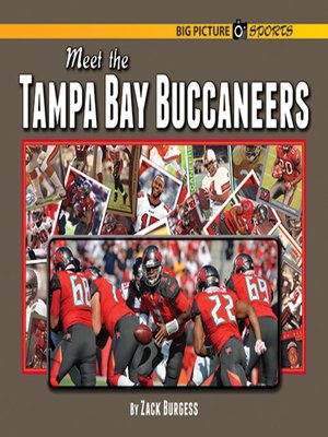cover image of Meet the Tampa Bay Buccaneers